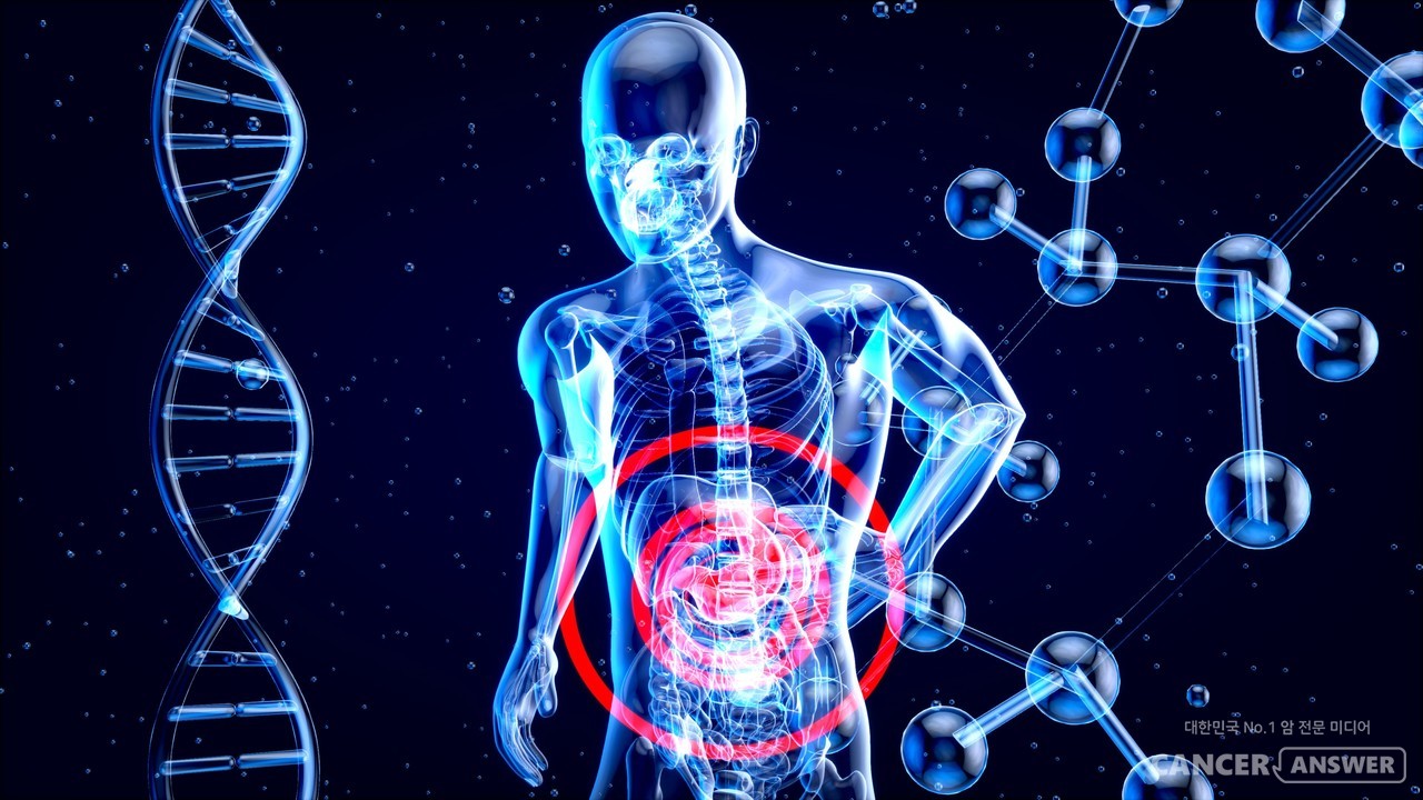 초기 증상이 없어 악화된 뒤에야 발견되기 쉬운 간암.  간 건강에 문제가 있다면, 1년에 2가지 검사를 2번씩 받아 암으로 악화되는 것을 막아야 한다. 그래서 2월 2일이 간암의 날이다. / unsplash
