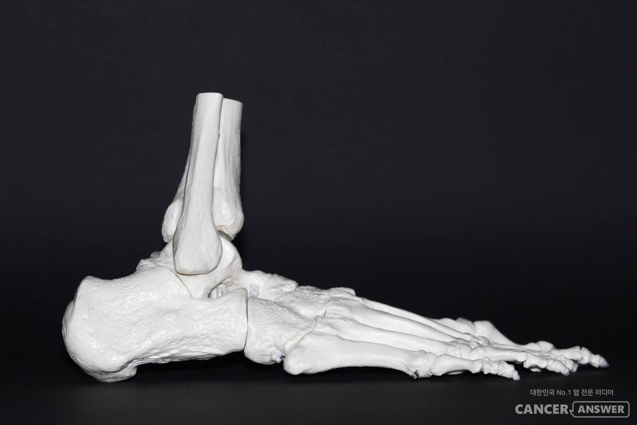 골다공증 환자가 칼슘이나 마그네슘 보충제를 매일 섭취하면 골밀도가 개선되는 것으로 나타났다. / unsplash