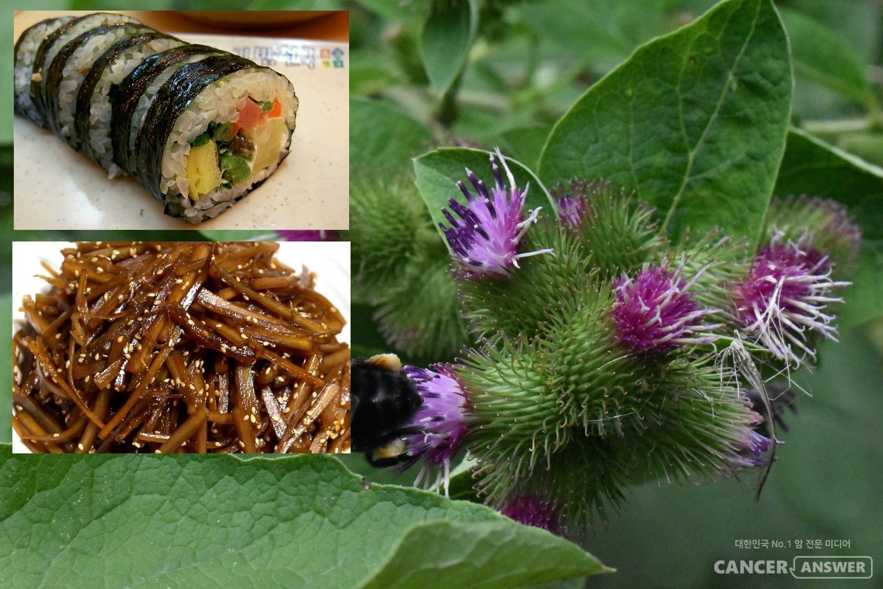 두해살이풀인 우엉의 뿌리는 다양한 항암 항산화 물질을 함유하고 있고 섬유질도 풍부해 건강한 식재료다. 조려서 반찬이나 김밥에 넣어 먹거나, 차를 우려 마셔도 좋다. / unsplash