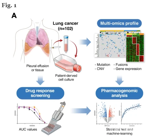 약물유전체 플랫폼을 통해 난치성 폐암 환자의 맞춤형 치료 반응 등을 분석한 개념도. 국립암센터 제공