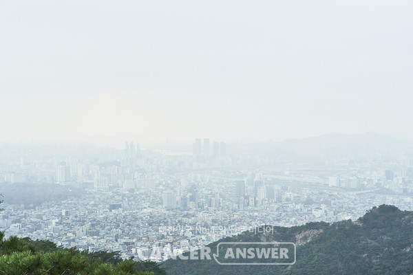 미세먼지 등 대기오염 물질에 노출되면 알츠하이머 치매 위험이 높아진다는 국내 연구 결과가 16일 발표됐다./캔서앤서 DB