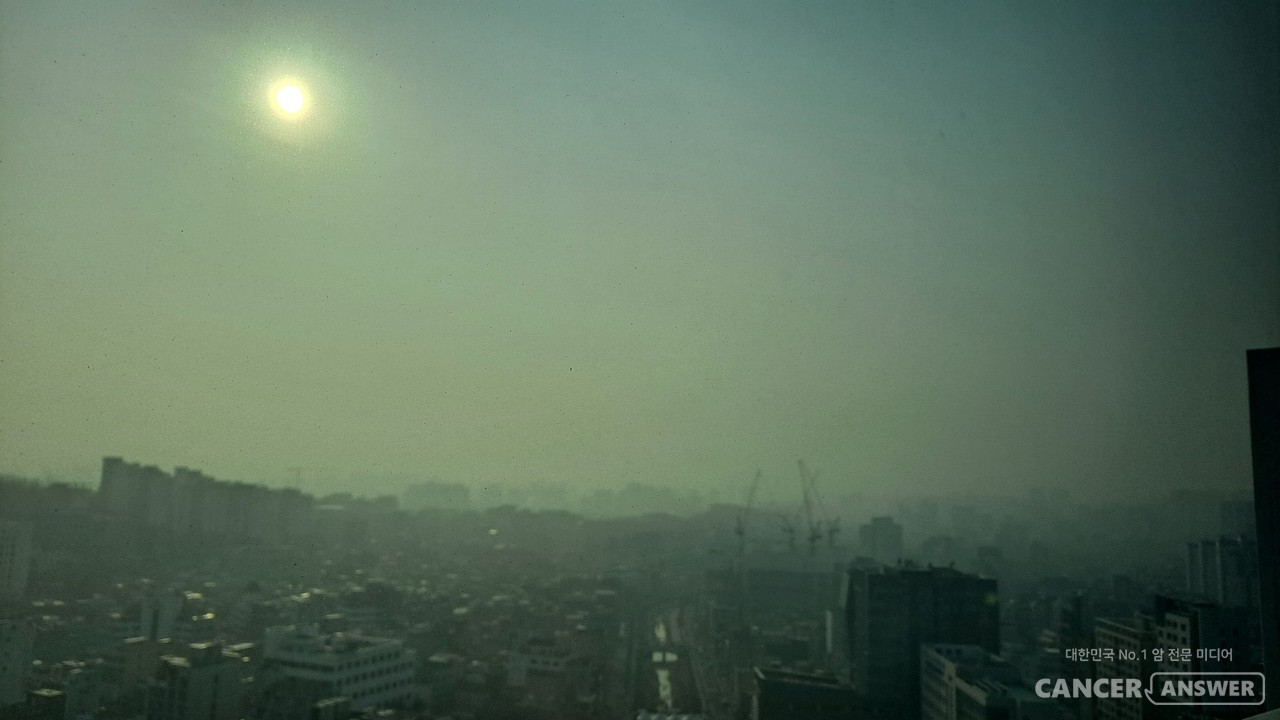 초미세먼지에 오래 노출되면 유전자 변이가 촉진돼 폐암 발병률이 높아진다는 연구결과가 나왔다. / 캔서앤서DB