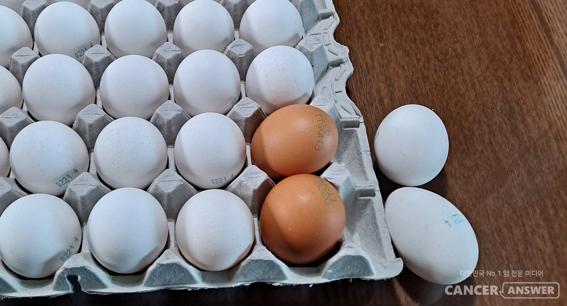 달걀은 완전식품으로 꼽힐 만큼 좋은 음식이지만 콜레스테롤 증가에 신경을 쓸 필요는 있다. / 캔서앤서DB