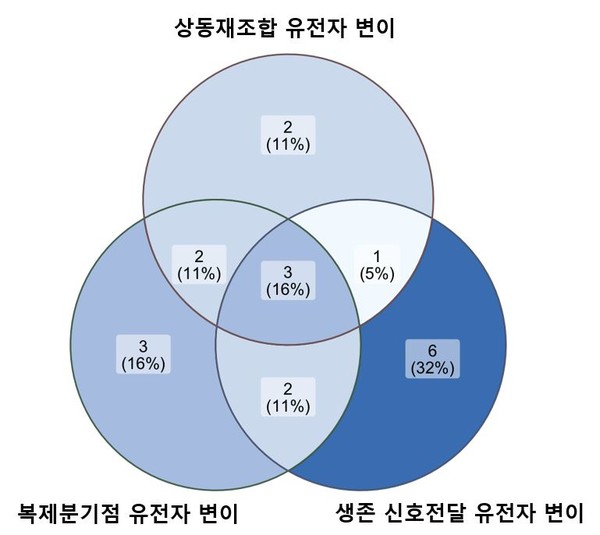 순환혈액 DNA 분석을 통해 난소암 치료제 올라파립의 내성 기전 3가지가 밝혀졌다. 상동재조합 유전자 변이, 복제분기점 유전자 변이, 생존 신호전달 유전자 변이다.