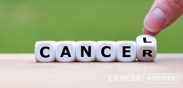 지방에 거주하는 비수도권 환자의 '서울 빅5 병원' 쏠림 현상이 여전한 것으로 나타났다. 특히 암환자의 '빅5 병원' 진료가 늘었다./게티이미지뱅크