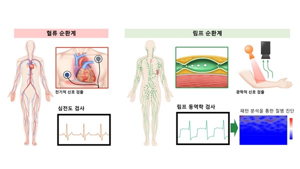 심전도 검사와 림프 동역학 검사 개념도./서울아산병원 제공