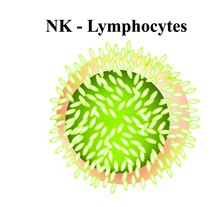 NK세포 이미지./게티이미뱅크