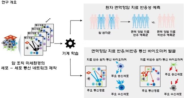 세포 간 통신 네트워크에 기반한 면역항암제 치료 반응을 예측하기 위한 바이오마커 발굴 인공지능 개발 모식도./포스텍 제공
