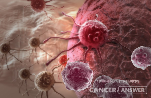 달세포분열을 더 이상 하지 않는 노화 암세포가 암세포의 생존과 전이를 촉진한다는 연구결과가 나왔다. / 게티이미지뱅크