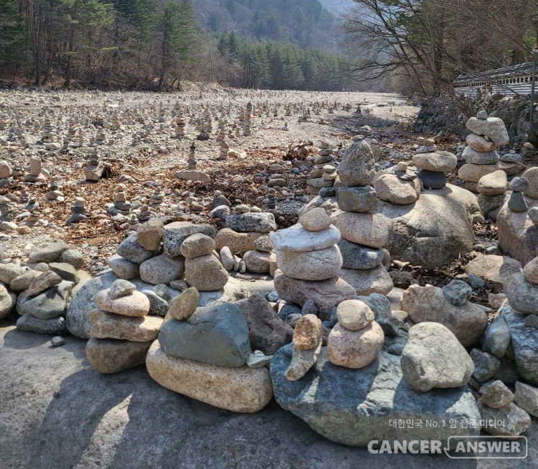 이해가 안되는 데 억지로 이해하라고 몰아붙이는 것도 억압입니다.