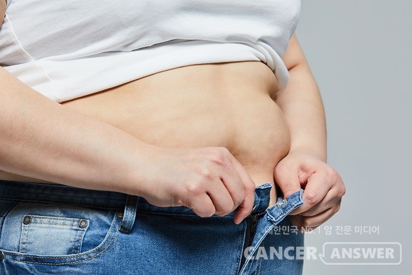 국민건강보험공단은 지난 8일 열린 '2024년 한국보건교육건강증진학회 추계학술대회'에서 세계보건기구 서태평양지역의 기준을 따르고 있는 우리나라 비만 기준인 ‘BMI 25이상’을 ‘BMI 27이상’으로 상향 조정해야 한다는 연구 결과가 발표됐다고 11일 밝혔다../게티이미지뱅크