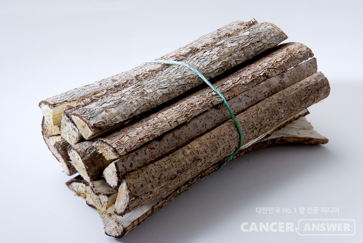 전통 한약재인 건칠 추출물(옻나무)이 진행성 췌장암에 효과가 있다는 연구결과가 나왔다. 특히 건칠 투여량이 늘수록 항암 치료 중 췌장암 환자 생존기간이 유의미하게 늘었다고 한다./게티이미지뱅크