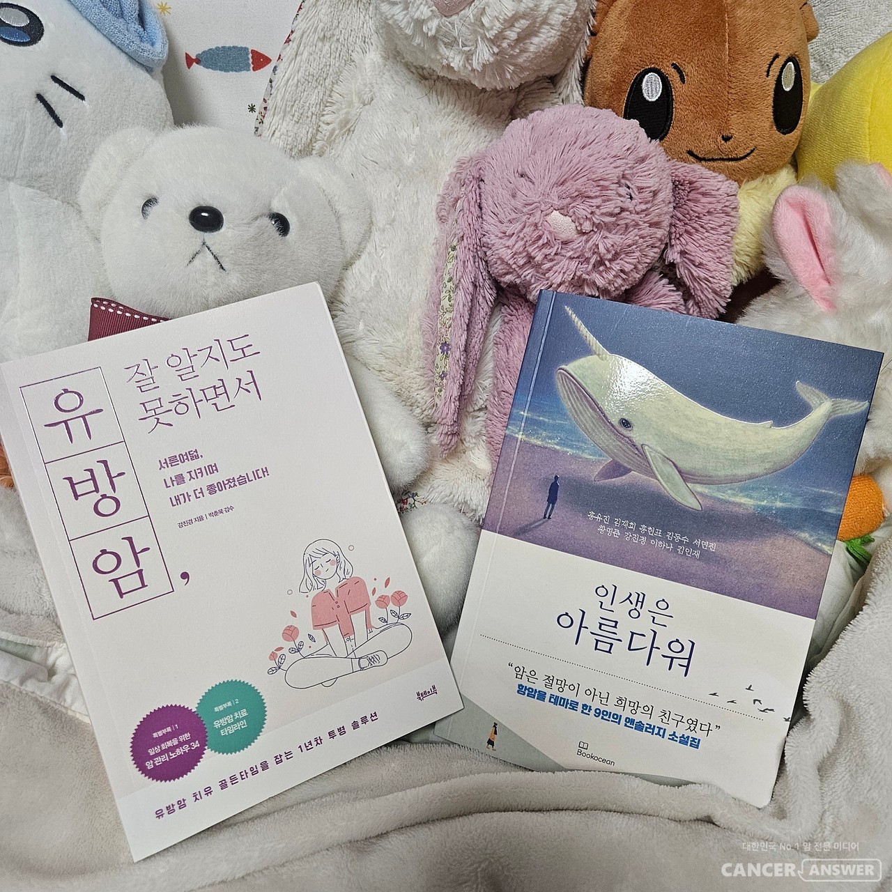 강진경 작가가 쓴 유방암 투병 에세이 '유방암 잘 알지도 못하면서'와 강작가가 캔프협동조합 조합원과 함께 쓴 암 주제의 단편소설집 '인생은 아름다워' 표지/캔서앤서 DB