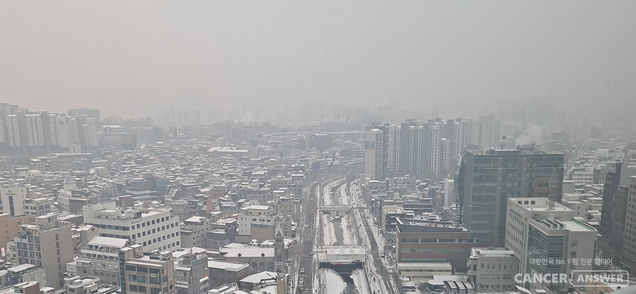 담배 뿐 아니라 대기오염도 폐암의 주요 원인이라는 국제암연구소(IARC)의 연구 결과가 발표됐다. 폐암은 전세계 암 사망원인 1위다. 4일(현지시각) 영국 일간지 가디언 보도에 따르면, 국제암연구소는 폐 선암 발병 사례 중 약 20만 건이 대기오염과 관련 있다는 연구 결과를 발표했다. 이 연구는 국제 학술지 랜싯 호흡기 의학(Lancet Respiratory Medicine)에 발표됐다./ 캔서앤서DB