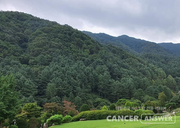 한국통합치유협동조합(이사장 유명길)은 암 경험자와 가족을 위한 산림치유 프로그램 '회복의 여정, 산림치유 생활습관 솔루션'을 오는 4월부터 본격적으로 운영한다고 밝혔다.