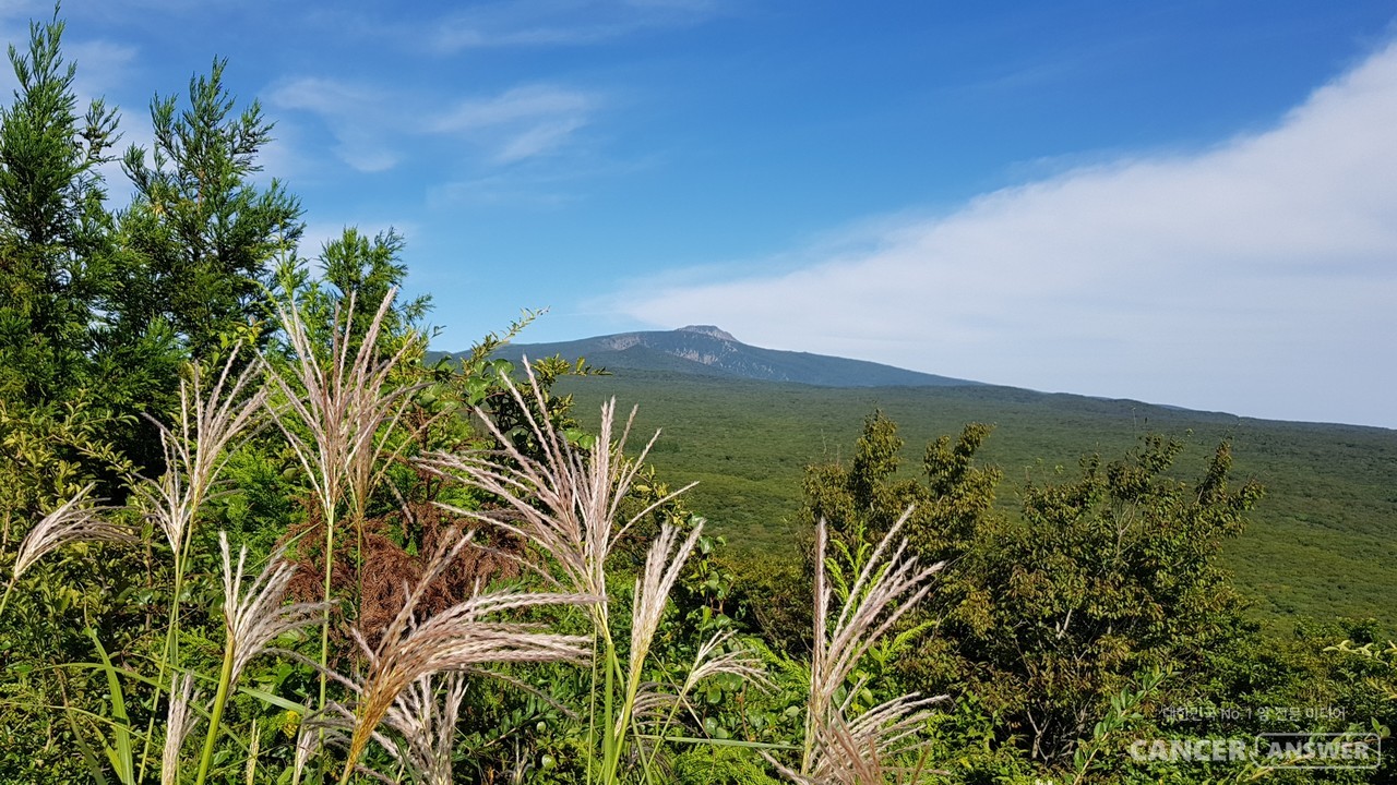 '폭싹 속았수다'의 주무대 제주도의 상징 한라산.