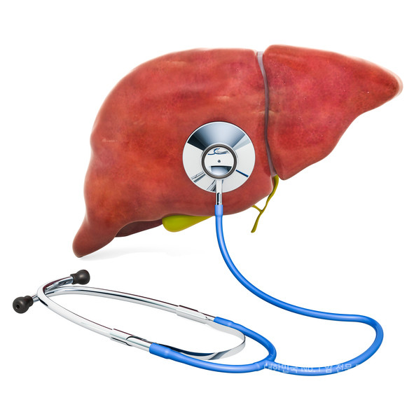 간경변 환자가 하루에 채소를 240g 이상 먹으면 간세포암(HCC) 발생 위험이 65%줄어드는 것으로 밝혀졌다./게티이미지뱅크