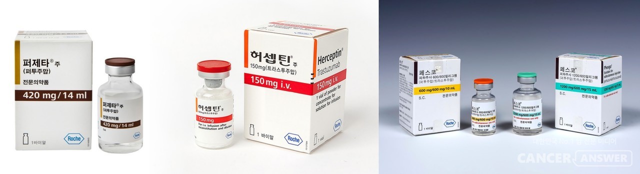 HER2 양성 조기 유방암 수술 후 보조요법으로 퍼제타(성분명 퍼투주맙)와 허셉틴(성분명 트라스투주맙)을 함께 쓰는 병용요법의 3상 임상연구의 10년 추적 관찰 연구 결과가 발표됐다고 한국로슈가 16일 밝혔다. ‘퍼제타+허셉틴’을 기존 세포독성항암제와 함께 투여할 경우, 기존의 ‘허셉틴+세포독성항암제’ 병용요법에 비해 HER2 양성 조기 유방암 환자의 사망 위험이 17% 감소한 것으로 나타났다./한국로슈 제공