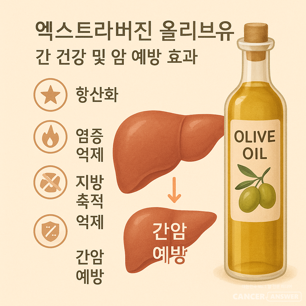 가비아 교수 연구팀은 EVOO의 대표적인 페놀 화합물인 올레오칸탈과 티로솔의 간 보호 작용 기전을 체계적으로 분석했는데, 티로솔은 올리브유에 포함된 대표적인 페놀성 알코올이며 하이드록시티로솔(Hydroxytyrosol)과 함께 EVOO의 주요 생리활성 성분 중 하나다. 방향족 고리에 하이드록시기가 결합된 구조를 가지며, 강력한 항산화 작용과 세포 보호 능력을 지닌 것이 특징이다.