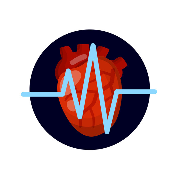 2018년 ‘뉴잉글랜드 의학저널(New England Journal of Medicine)’에 발표된 이 연구는 심혈관 고위험군 스페인 성인 7447명을 대상으로 엑스트라버진 올리브오일을 포함한 지중해식 식단을 제공하고 그 효과를 장기적으로 추적했다. 그 결과, 엑스트라버진 올리브오일이 풍부한 식단은 심방세동 위험을 38%까지 줄이고, 혈압 개선과 인슐린 민감도 향상, 염증 완화, 동맥경화성 플라크 진행 지연 등 다양한 긍정적 효과를 나타냈다./게티이미지뱅크