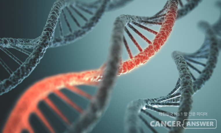 BRCA 유전자에 돌연변이가 생기면 유방암과 난소암의 발병 위험이 일반인에 비해 월등히 높아진다. 일반 여성의 유방암 평생 발병 확률은 약 12%지만, BRCA1 변이를 가진 여성은 최대 72%, BRCA2 변이는 69%까지 위험이 증가한다./게티이미지뱅크