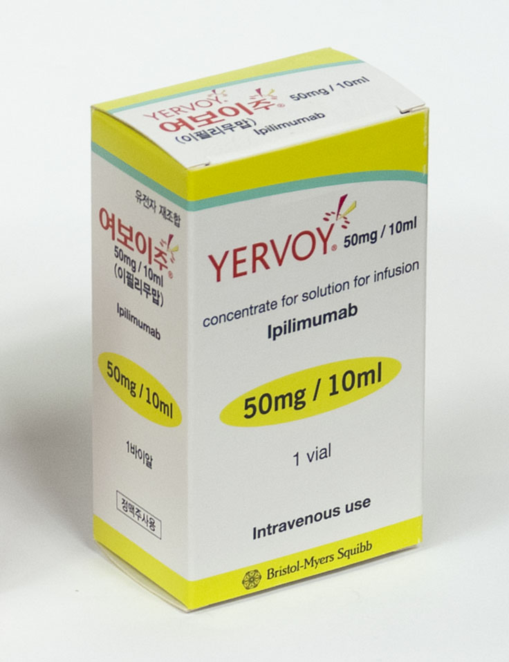 면역항암제 여보이.