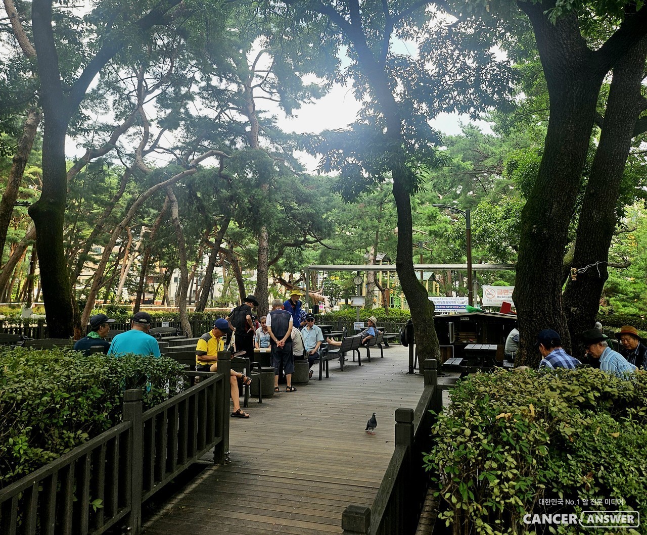 서울 우이동 솔밭공원은 언제나 건강해지고 싶은 사람들로 붐비고, 대화와 온화한 미소가 피어난다.