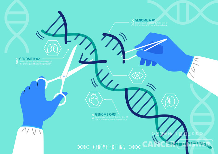 ​유전자 가위를 이용해 암세포의 돌연변이 유전자를 잘라내 암을 치료하는 진일보된 기술을 울산과학기술원이 개발했다./게티이미지뱅크/게티이미지뱅크