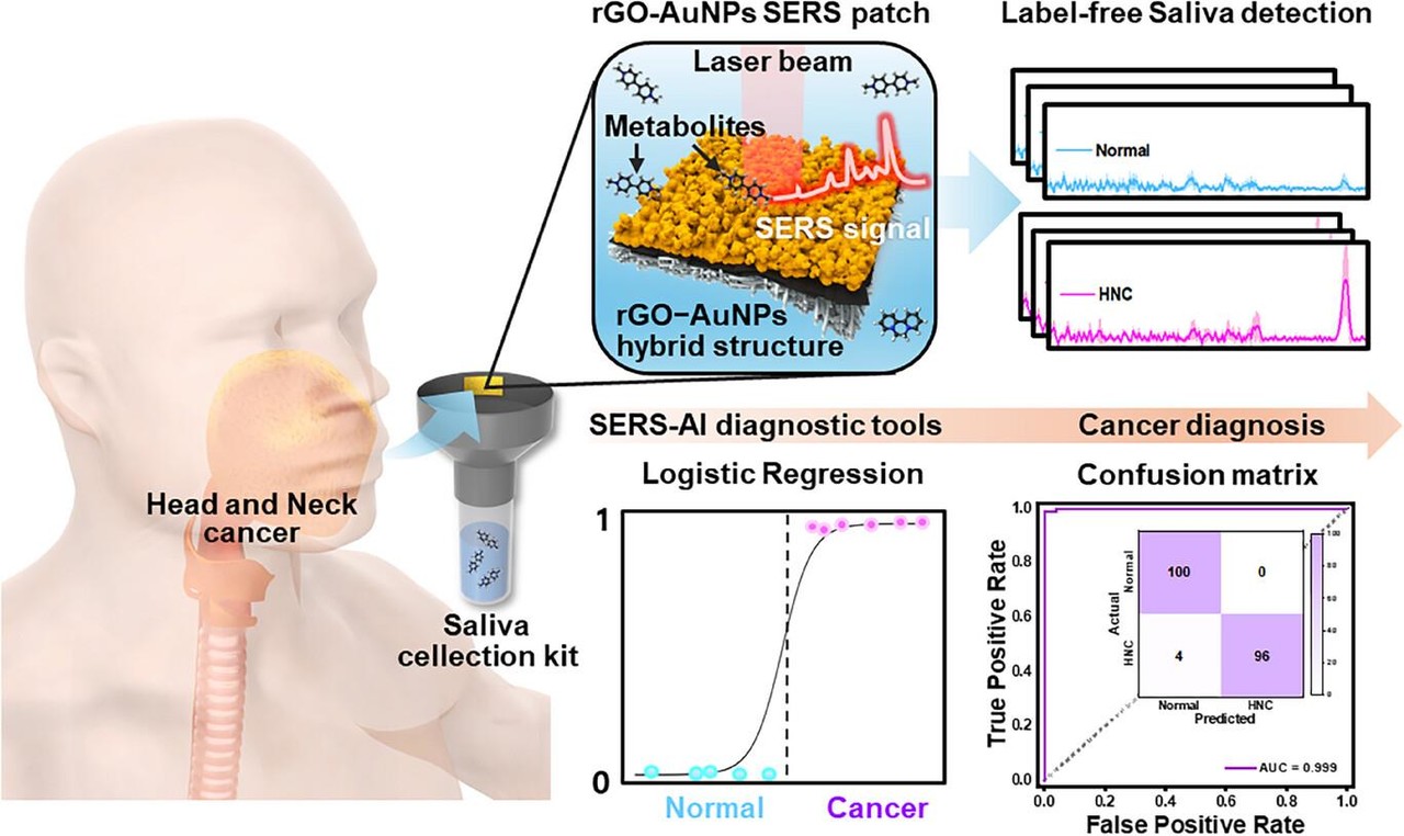 침(타액) 검사로 두경부암을 진단하는 플랫폼 개념도./서울성모병원 제공